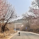 北京旅游 缩略图 2