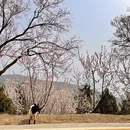 北京旅游 缩略图 4