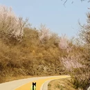 北京旅游 缩略图 7