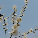 北京旅游 缩略图 12