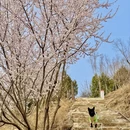 北京旅游 缩略图 9