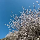 北京旅游 缩略图 14