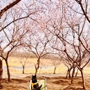 北京旅游 缩略图 10