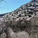 北京旅游 缩略图 15