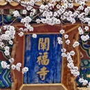 北京旅游 缩略图 6