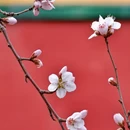 北京旅游 缩略图 9