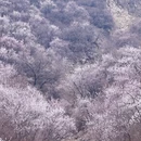 北京旅游 缩略图 3