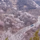北京旅游 缩略图 1