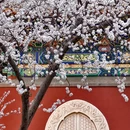 北京旅游 缩略图 2