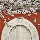 北京旅游 缩略图 10