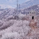 北京旅游 缩略图 5