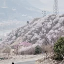 北京旅游 缩略图 7