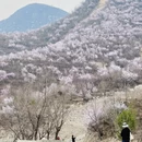 北京旅游 缩略图 8