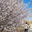 北京旅游 缩略图 1