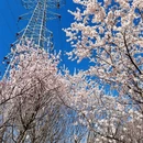 北京旅游 缩略图 5