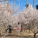 北京旅游 缩略图 3