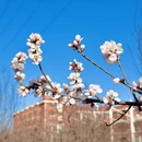 北京旅游 缩略图 9