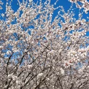 北京旅游 缩略图 12