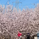 北京旅游 缩略图 14