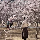 北京旅游 缩略图 11