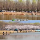 北京旅游 缩略图 4