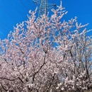 北京旅游 缩略图 15