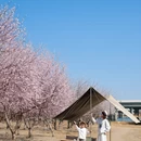 北京旅游 缩略图 8