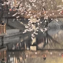 北京旅游 缩略图 7