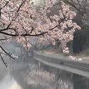 北京旅游 缩略图 2