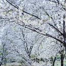 北京旅游 缩略图 3