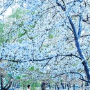 北京旅游 缩略图 2