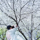 北京旅游 缩略图 4
