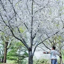 北京旅游 缩略图 8