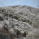北京旅游 缩略图 1