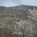 北京旅游 缩略图 7