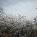 北京旅游 缩略图 11
