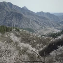 北京旅游 缩略图 8