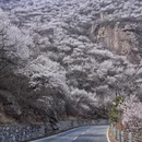 北京旅游 缩略图 3