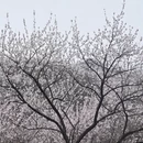 北京旅游 缩略图 5