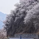 北京旅游 缩略图 2