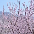 北京旅游 缩略图 6
