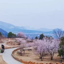 北京旅游 缩略图 2