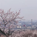 北京旅游 缩略图 4