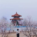 北京旅游 缩略图 5