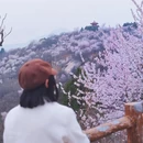 北京旅游 缩略图 3