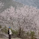 北京旅游 缩略图 13