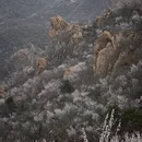 北京旅游 缩略图 12