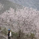 北京旅游 缩略图 14