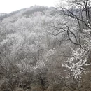 北京旅游 缩略图 16