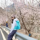 北京旅游 缩略图 3